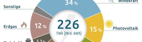 Energiemix und die Rottweiler