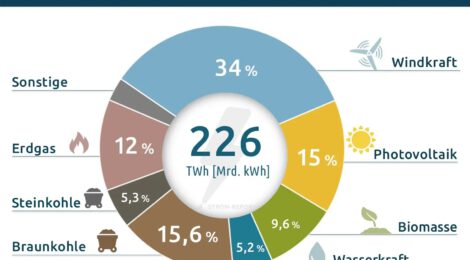 Energiemix und die Rottweiler