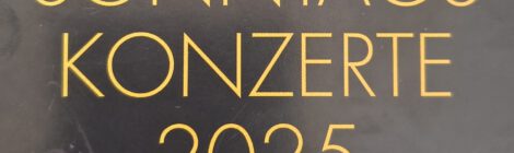 Sonntagskonzerte 2025 im Steinbergle